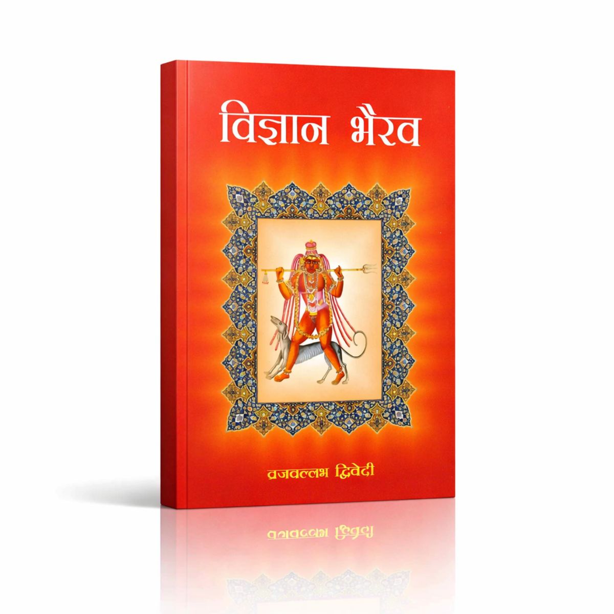 Vigyan Bhairav Tantra by Motilaal Banarasidas Publication Hindi
